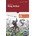 King Arthur - David Fermer