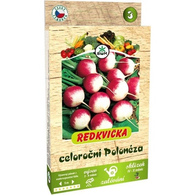 Ředkvička celoroční Polonéza pásek