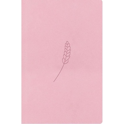 Bible21 kapesní Rosé
