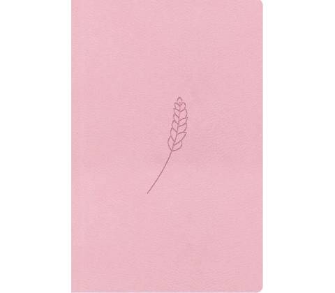 Bible21 kapesní Rosé