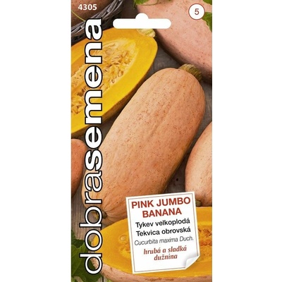 Tekvica pink jumbo banana DS 4305