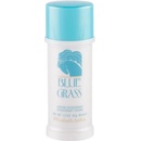 Elizabeth Arden Blue Grass Perfumed deo stick 40 ml