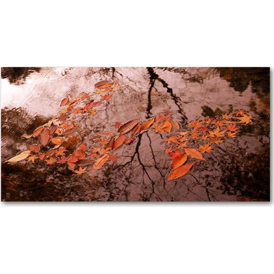 Moderný sklenený obraz z fotografie Lístie na vode 100x50 cm