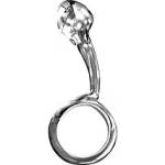 Rouge Stainless Steel Anal Passion Plug