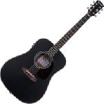 Pasadena PD-200E Black Електро-акустична китара Дреднаут