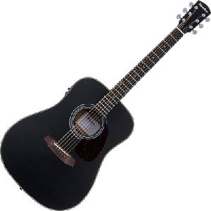 Pasadena PD-200E Black Електро-акустична китара Дреднаут