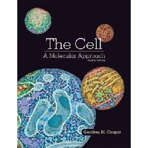 The Cell: A Molecular Approach | Geoffrey Cooper (ISBN: 9781605357072)