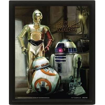 Star Wars : Droids - 3D Obraz s rámem 3D Obraz (s rámem)