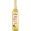 Šťavy a sirupy Hollinger Sirup zázvorový 0,5 l