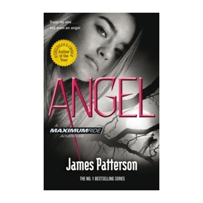 Maximum Ride: Angel - James Patterson
