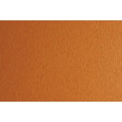 Fabriano Картон Colore, 70 x 100 cm, 140 g/m2, № 223, светлокафяв (43303223/100_AVANA)