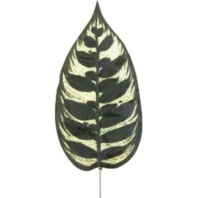 Umelý list Calathea 47 cm