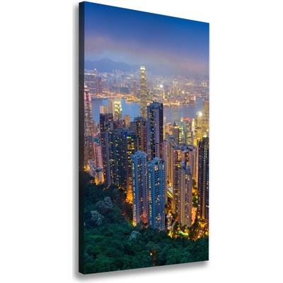 Vertikálny foto obraz na plátne Nočný Hongkong 50x100 cm