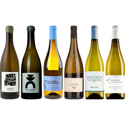 Muscadet Prémiový Degustační Balíček 6 x 0,75 l lahví (holá láhev)