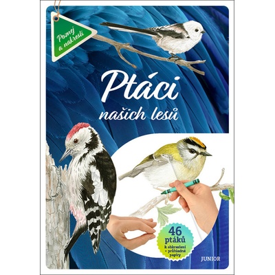 Ptáci našich lesů - 46 ptáků k obkreslení + průhledné papíry