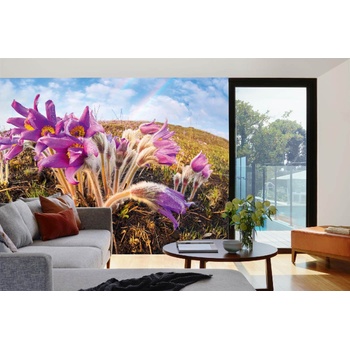 DIMEX ART s. r. o Самозалепваща се флизелинова фототапета пролетен пасхален цвят 375 x 250 см