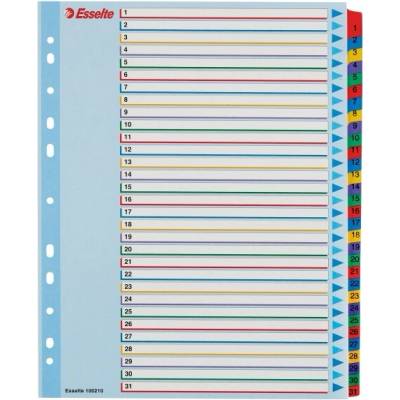 Záznamník, laminovaná lepenka, A4 Maxi, 1–31, prepisovateľný, ESSELTE 100210