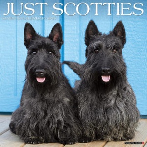 Willow Creek Press Calendars Scotties 2026 12 X 12 Wall Calendar | Willow Creek Press