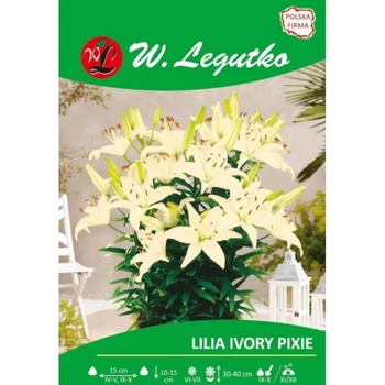 W. Legutko Лилия Айвори Пикси крем 1 бр