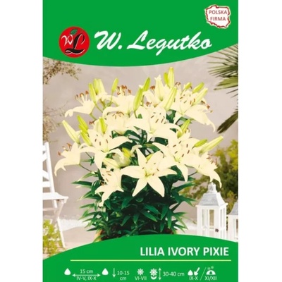 W. Legutko Лилия Айвори Пикси крем 1 бр