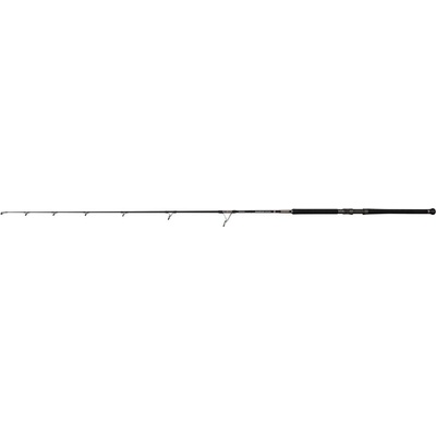 Penn Marine Brigade Offshore Cast 2,44 m 30-200 g 1+1 Díly