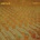 Zion Train - Versions 2 LP