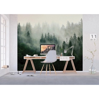 Ag Design FT4P-5703 Vliesová fototapeta na zed' Lesní Mlha, rozměry 300 x 270 cm