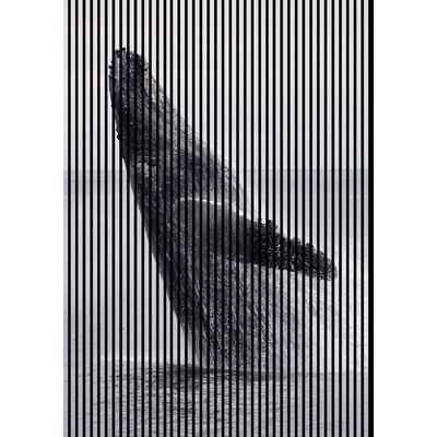 Neuhofer Designový akustický panel „Velryba“ (Wal02) Vyberte požadovaný rozměr: NR. 4: 1693 x 2400 mm (3 panely)