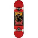 Tony Hawk Bird Logo