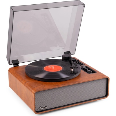 Audizio Laredo
