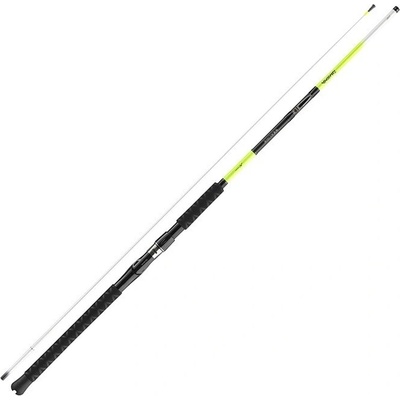 Daiwa Sealine X´treme 2,25m 100-250g 2 díly