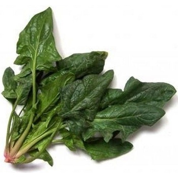 Семена от Спанак "Амстердамски Гигантски Лист" - 100 грама (290600)