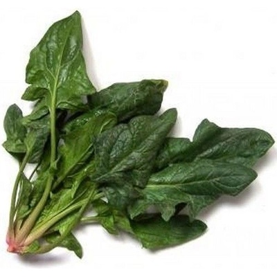 Семена от Спанак "Амстердамски Гигантски Лист" - 100 грама (290600)