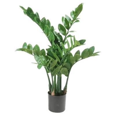 Umelá rastlina Zamioculcas zamiifolia 70 cm