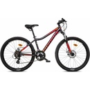 MAYO XC BASIC D 2026
