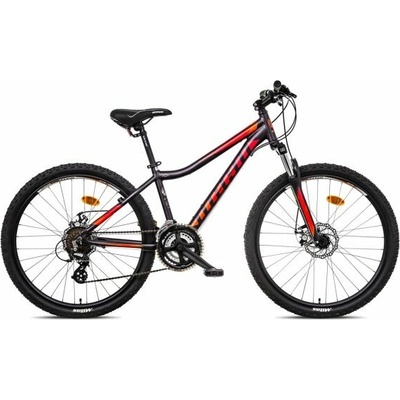 MAYO XC BASIC D 2026