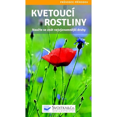 Kvetoucí rostliny