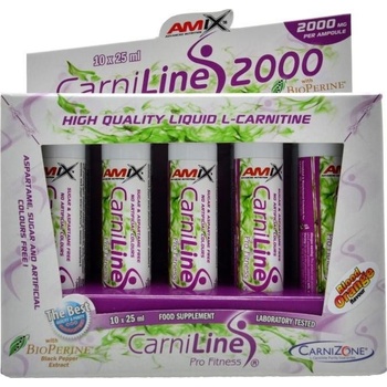 Amix CarniLine 2000 + Bioperine 250 ml