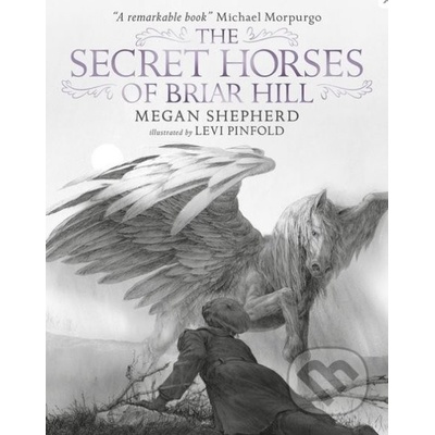 Secret Horses of Briar Hill Shepherd Megan