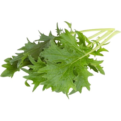 Click & Grow Семена Click and Grow - Японска мизуна, 3 пълнителя (SGR93X3)