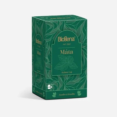 Biogena Traditional máta 6 x 20 ks