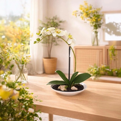 Umělá orchidej Phalaenopsis, krémovo-zelená