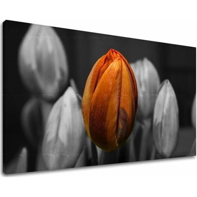Obraz na stenu KVETY - 20x30