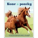 Kone a poníky