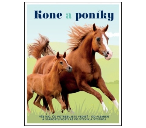 Kone a poníky
