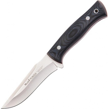Muela Pointer 12M