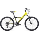 CTM Willy 2.0 2022