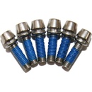 Šrouby Ritchey 4-Axis do představce 6 ks