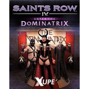 Deep Silver Saints Row IV Enter The Dominatrix DLC (PC)
