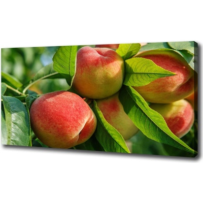 Foto obraz na plátne do obývačky Broskyne 100x50 cm